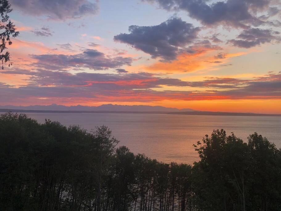 1-Bedroom Seaview Guesthouse On Seattle Luxury Estate With Views Of Olympic Mountains Bagian luar foto