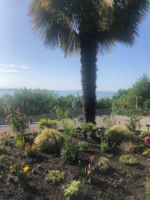 1-Bedroom Seaview Guesthouse On Seattle Luxury Estate With Views Of Olympic Mountains Bagian luar foto