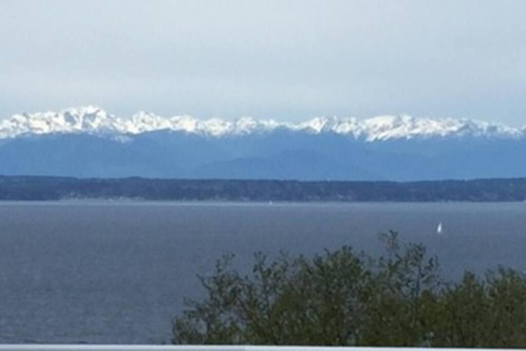 1-Bedroom Seaview Guesthouse On Seattle Luxury Estate With Views Of Olympic Mountains Bagian luar foto