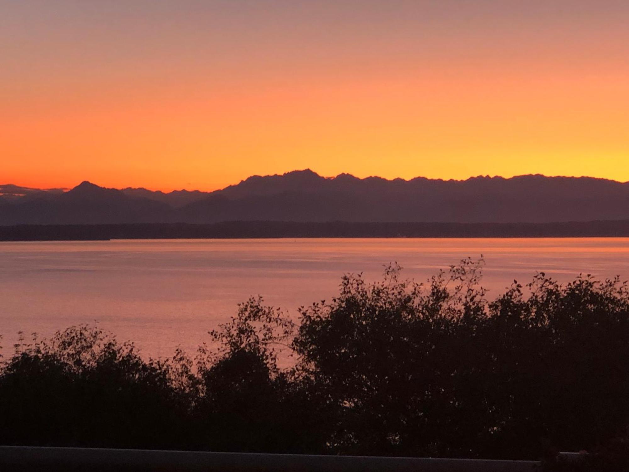 1-Bedroom Seaview Guesthouse On Seattle Luxury Estate With Views Of Olympic Mountains Bagian luar foto